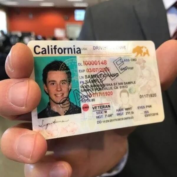 Можно ли получить водительское удостоверение в США по туристической визе?