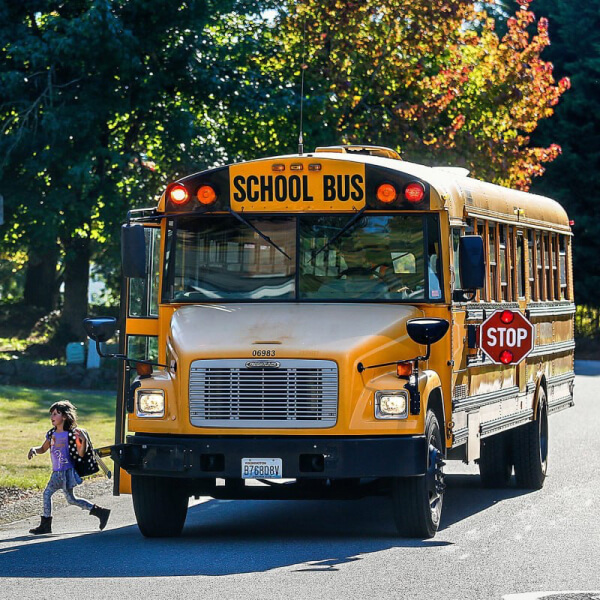 Школьный автобус в США. Правила дорожного движения в школьных зонах